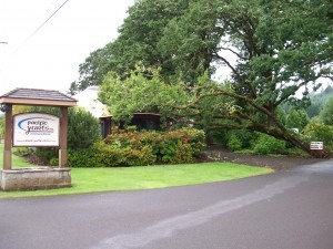 Fallen oak on yurt Fallen oak on yurt