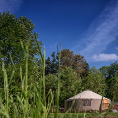 30' yurt in field