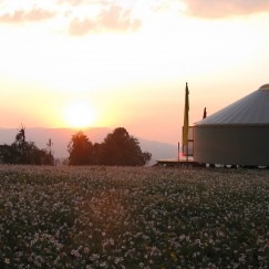 30' Yurt In Field with Flowers