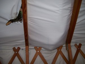 Interior before removing tree