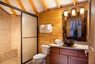 Modern yurt bathroom