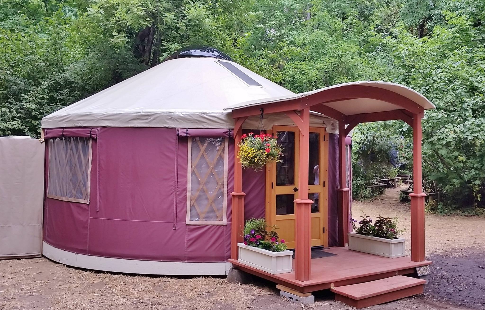 Pacific Yurt