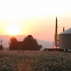 Yurt on a plot of land with a sunset in the distance over trees.