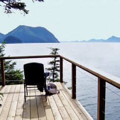 orca-islands-view