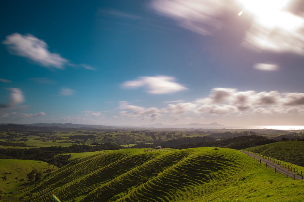 Yurt in New Zealand