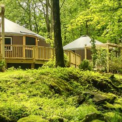 Yurt in the woods with a river running in front.