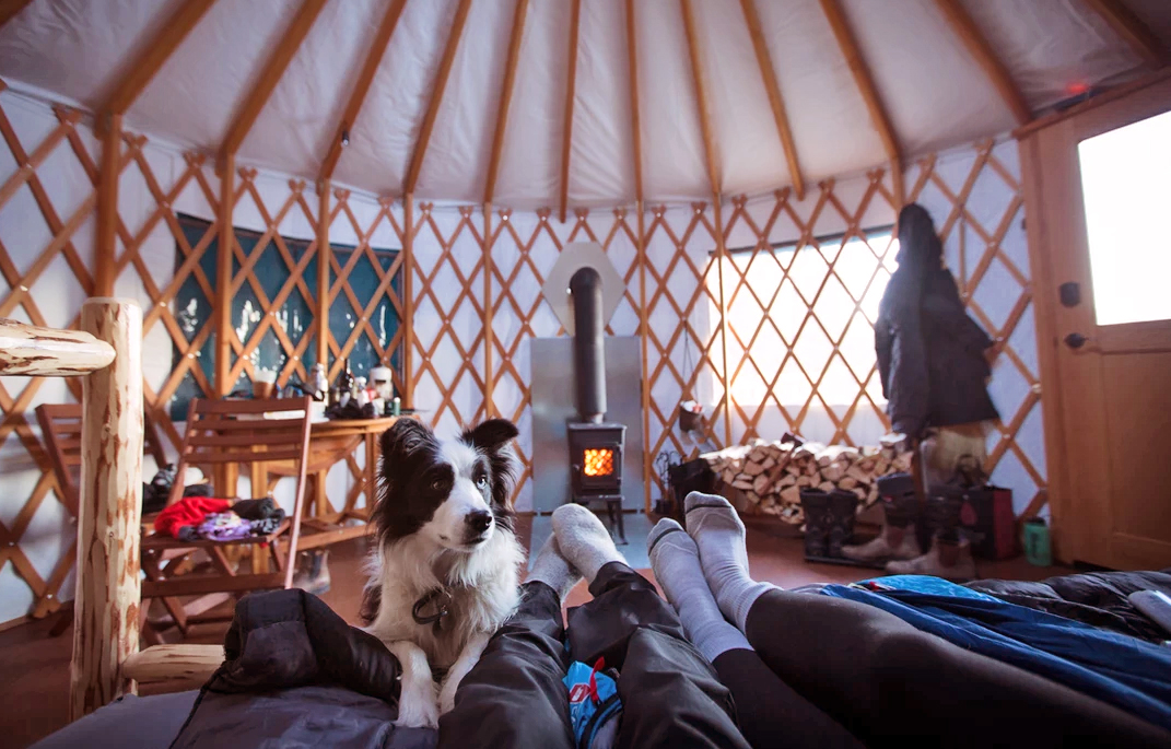 Two people and a dog sitting on a couch inside a Pacific Yurt at Radius Retreat.