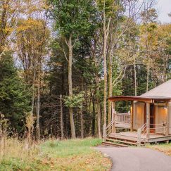 Exterior of savage river yurt in the woods