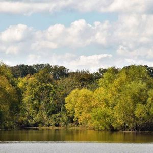 Autumn trees over Lake Grapevine.