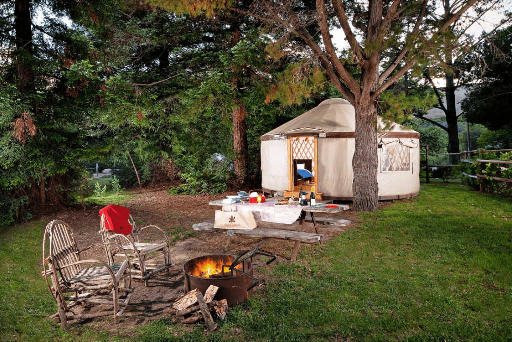 Pacific Yurt with a white canvas in a backyard surrounded by trees.