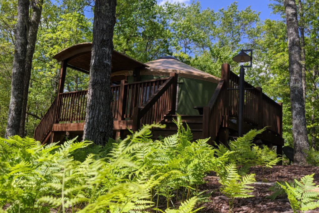 yurt outside in forest.