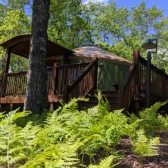 01-skyridge-yurts-stay - Pacific Yurts yurt outside in forest.