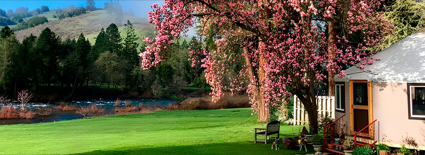 SPRING SAVINGS ARE HERE!