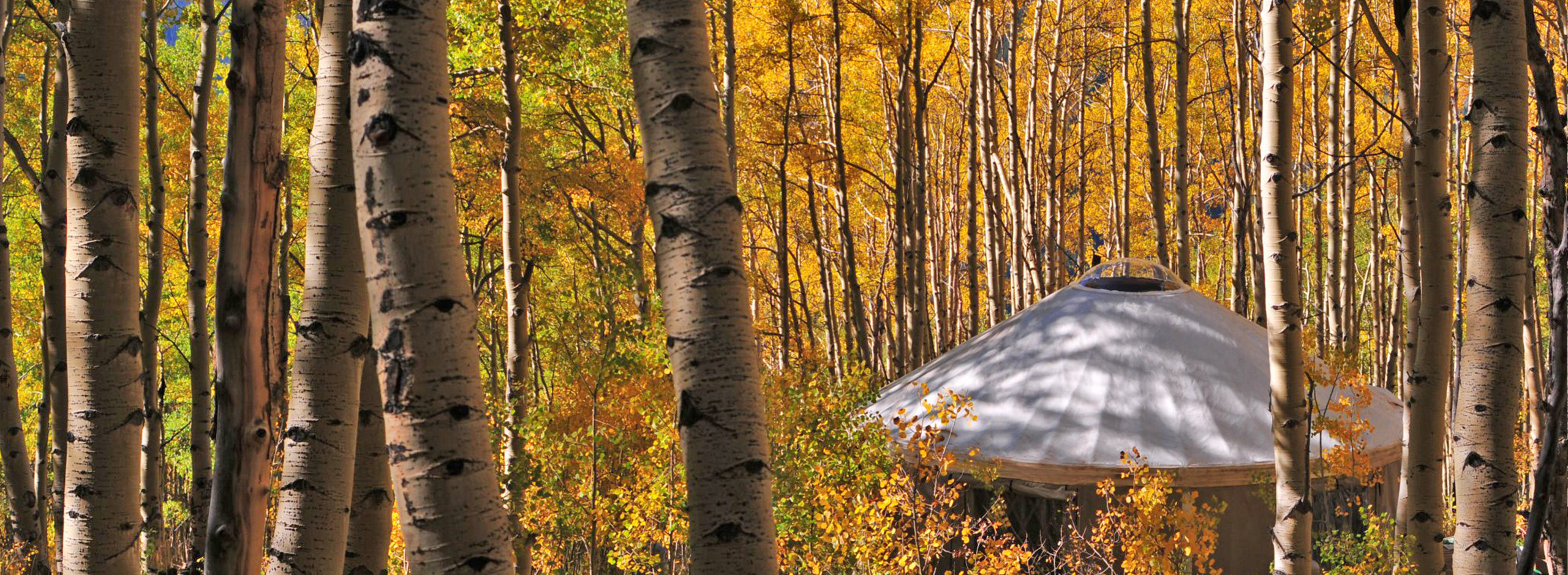 9/24/26 thu 10/30/26, Take 7% Off Yurt Base Prices!