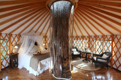 20' Yurts